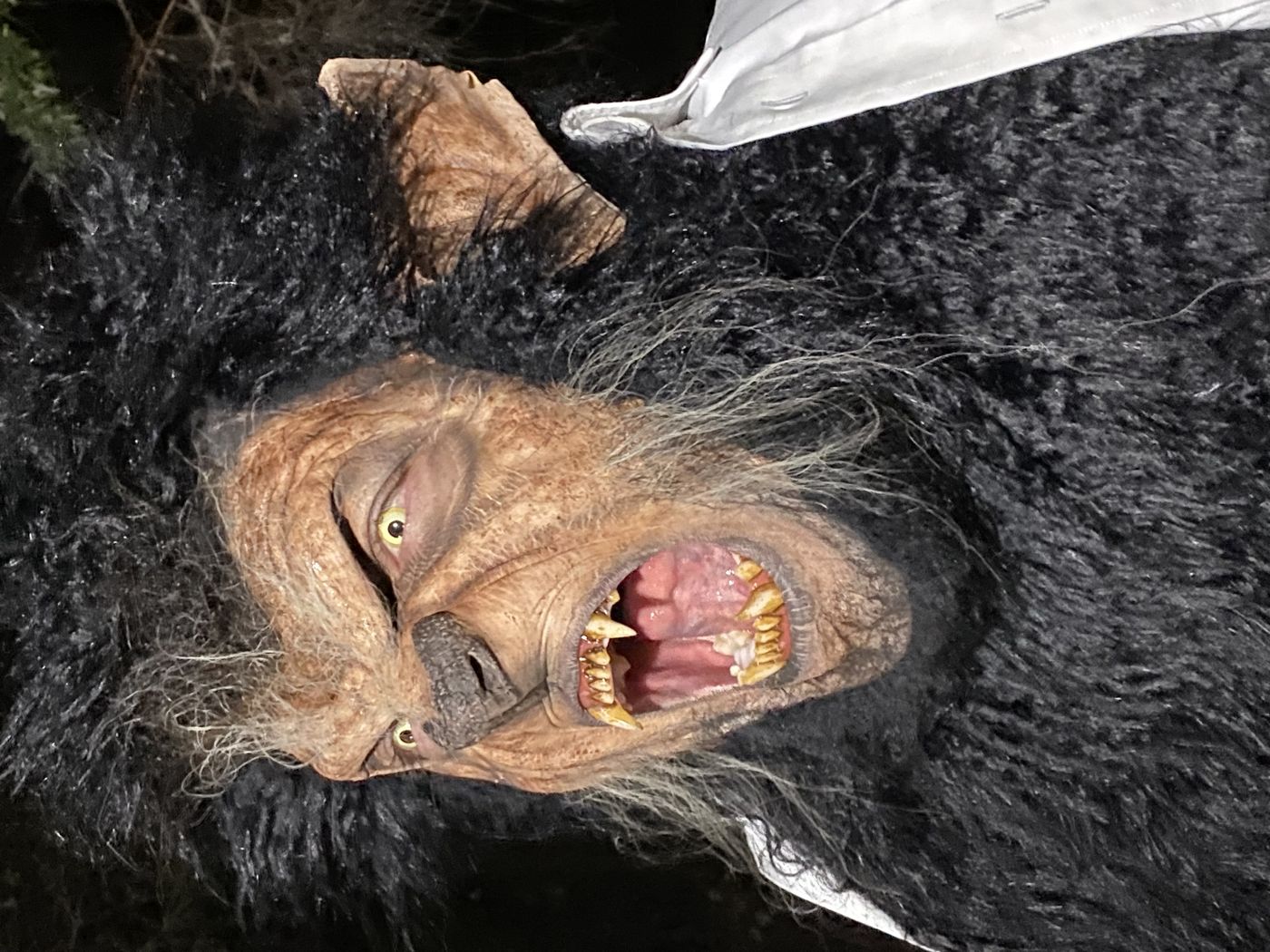 BJ Whimpey in full werewolf makeup, close up
